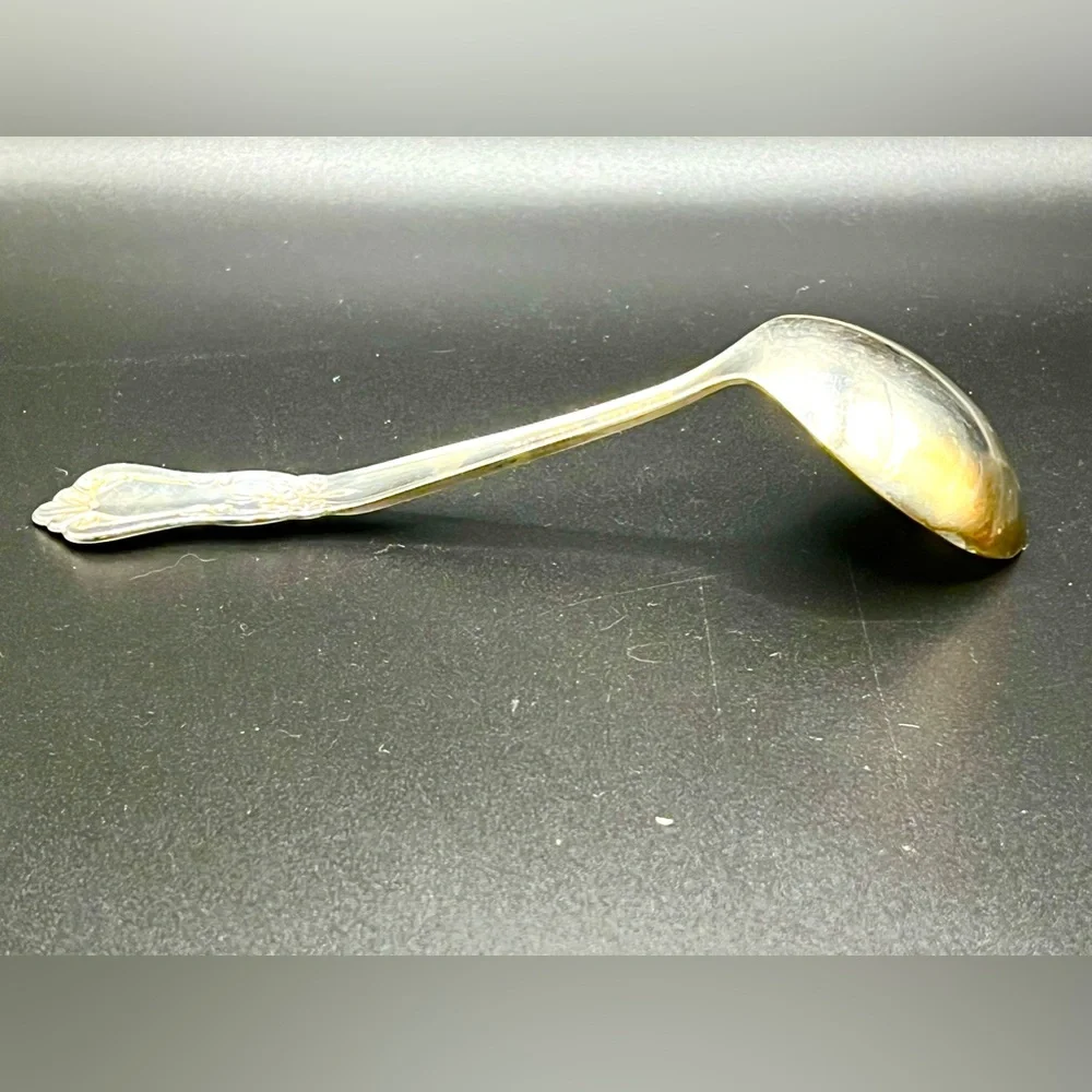 Vintage Wm A Rogers Oneida Silver Plated Vanessa Francesca Ladle Spoon 6.5 in